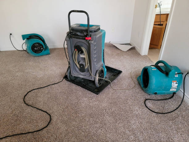 Best Flooded house restoration  in Aransas Pass, TX