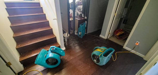 Best Fire Damage Restoration  in Aransas Pass, TX