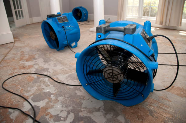Best Sewage cleanup and water damage restoration  in Aransas Pass, TX